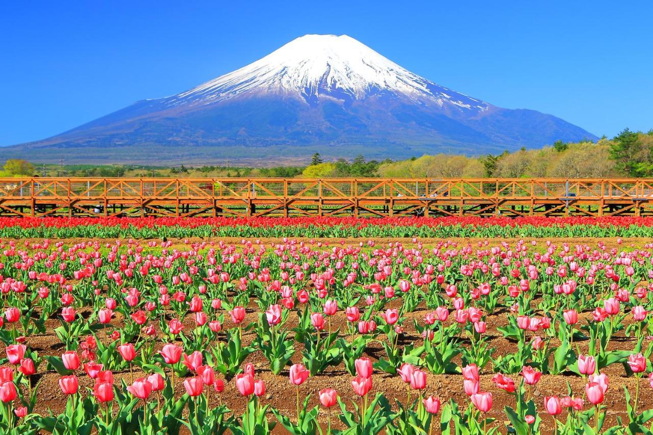 Hatago Sakuraya Yamanakako Exterior foto